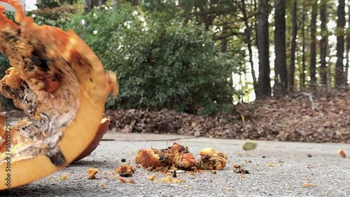 Rotting Halloween pumpkin smashed to pieces on pavement