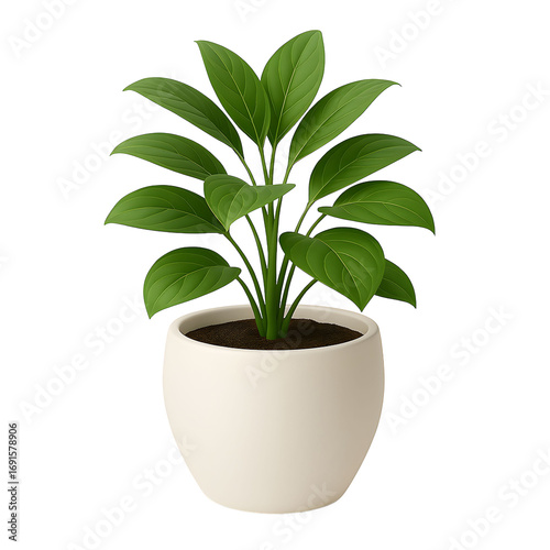 Stylish Variegated Green and White Foliage in White Pot