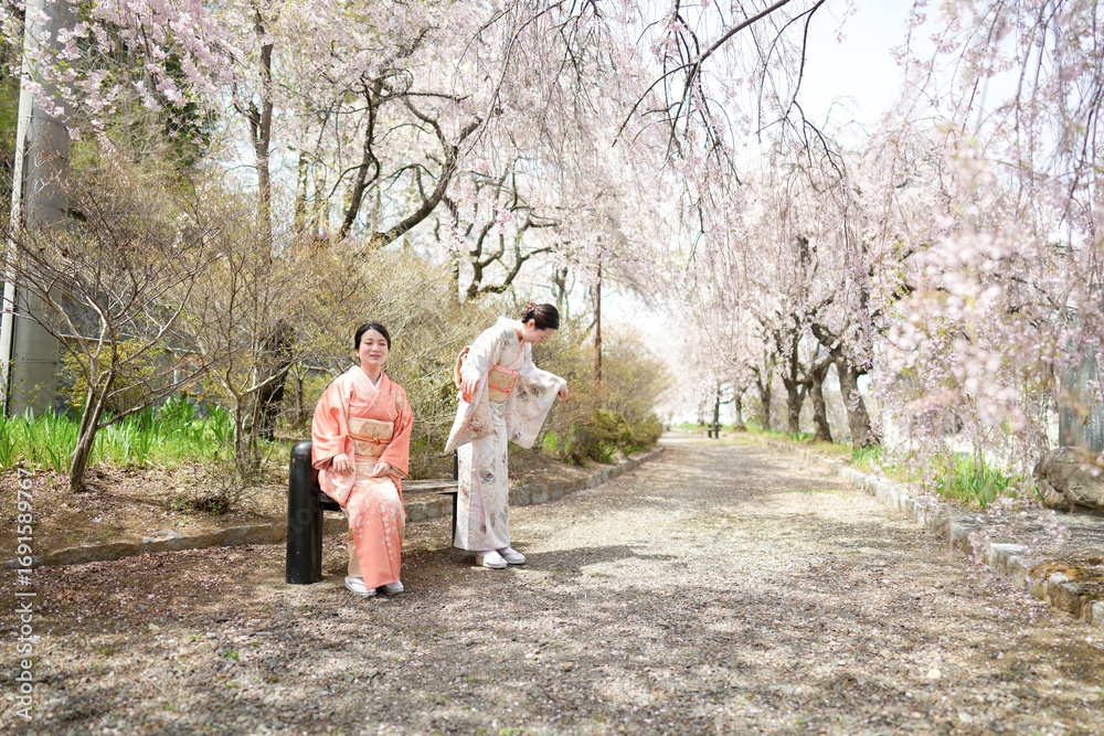 Fototapeta premium Two women in kimonos are sitting on a bench in a park. The park is filled with cherry blossoms, creating a serene and peaceful atmosphere. The women seem to be enjoying the beauty of the park