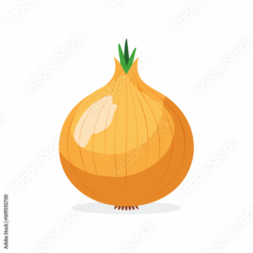 Vector illustration of onion, round shape, light brown skin, clean flat design, isolated