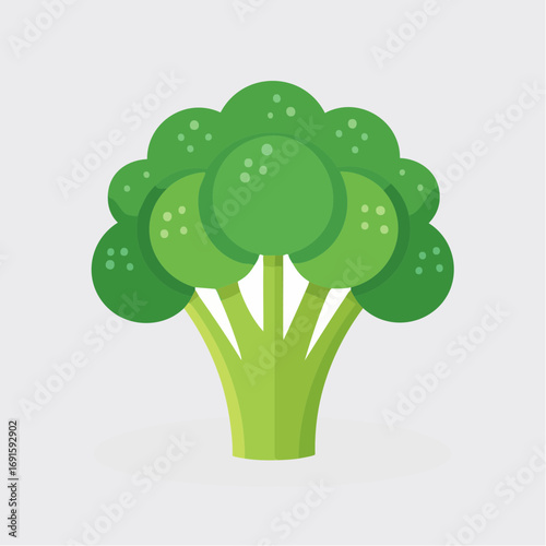 Vector illustration of broccoli, clean green color, flat simple design, isolated on white