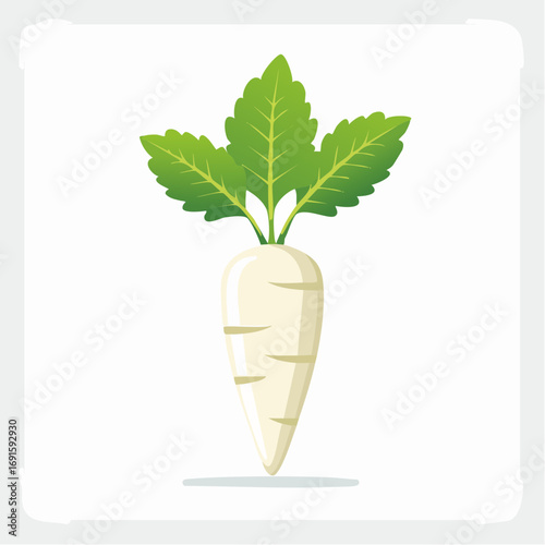 Vector illustration of daikon radish with green leaves, flat minimal style, isolated on white