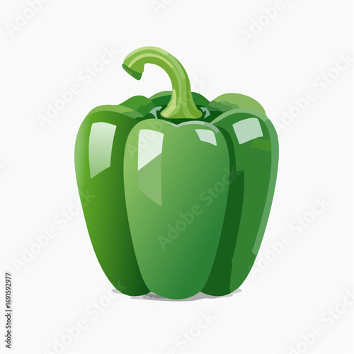 Vector illustration of green bell pepper, glossy flat style, isolated, clean minimal design