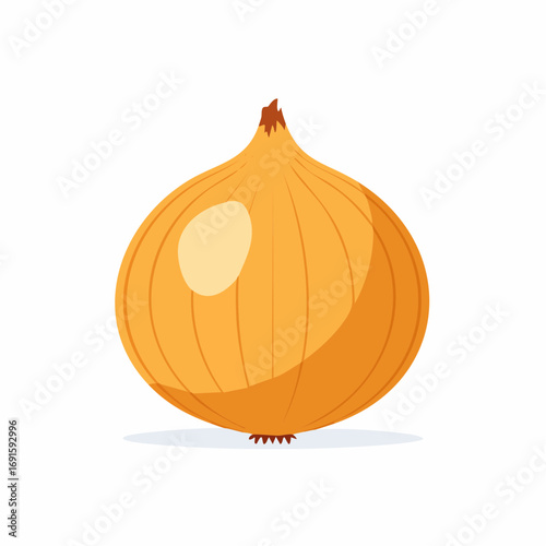 Vector illustration of onion, round shape, light brown skin, clean flat design, isolated