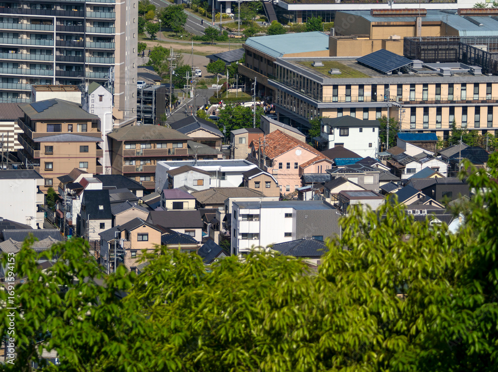 Fototapeta premium 山から見下ろす住宅街の風景