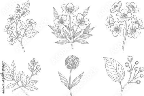 Elegant botanical line art with delicate flowers and leaves for modern wedding invitations and stationery design