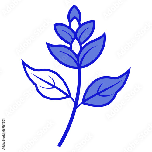 salvia blue flower-line-art-on-white