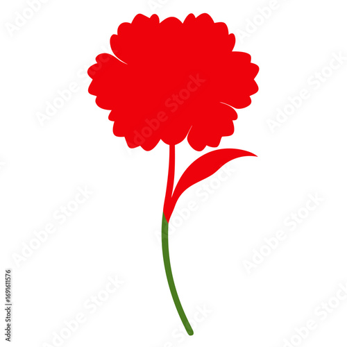 sea thrift red orange vector on white