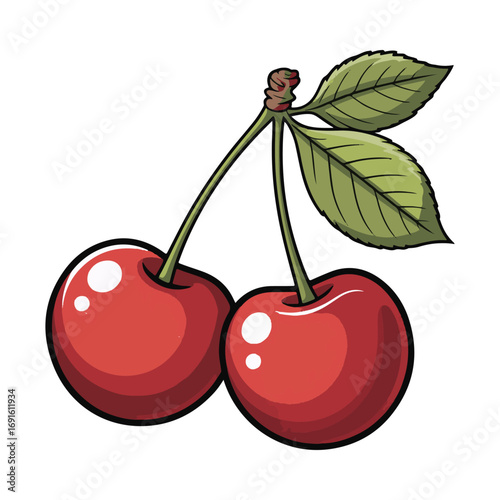 cherry vector illustration