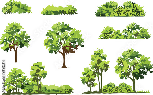 Collection of green trees and bushes, natural forest plants, landscape foliage illustration, eco friendly nature design, outdoor park environment clipart.