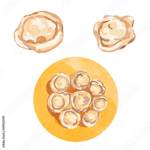 Watercolor Pelmeni Elements