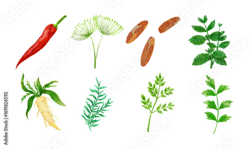 Watercolor Herbs Collection 01