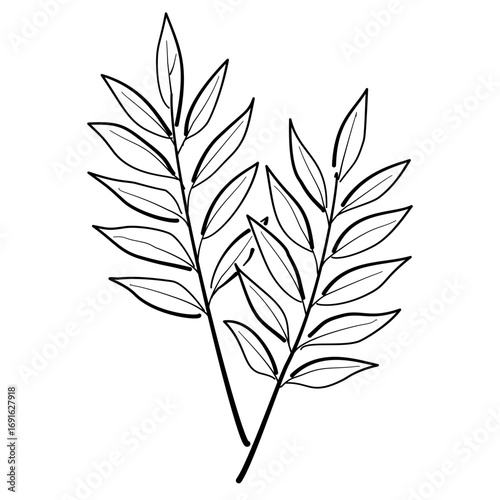 Autumn Leaf Line Art Clipart Hand Drawn Black and White Leaf Outline Illustration Fall Foliage Transparent Background for Stickers Coloring Pages Journals Scrapbooking Craft Printables