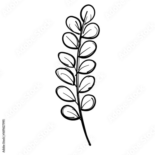Autumn Leaf Line Art Clipart Hand Drawn Black and White Leaf Outline Illustration Fall Foliage Transparent Background for Stickers Coloring Pages Journals Scrapbooking Craft Printables