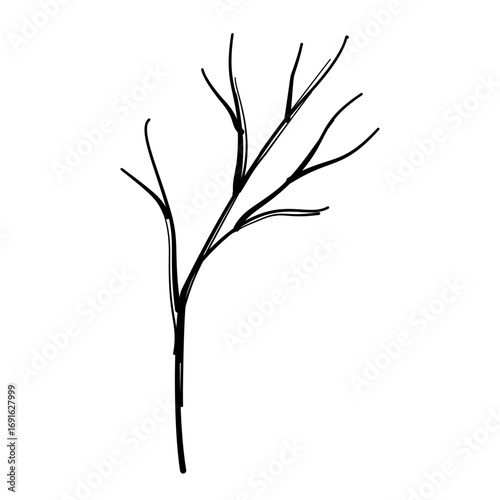 Dead branch Autumn Leaf Line Art Clipart Hand Drawn Black and White Leaf Outline Illustration Fall Foliage Transparent Background for Stickers Journals Scrapbooking Craft printable