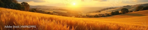 Golden Harvest Valley Abundant Crops Bask in Autumn Sunlight. Ripe fields stretch to distant hills, swaying gently in the warm breeze, creating a picturesque scene of falls bounty.