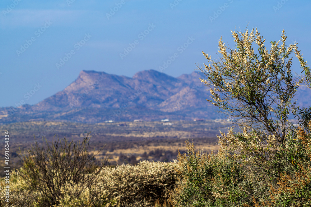 Fototapeta premium Paysage montagneux dans le centre de la Namibie