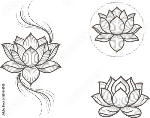 Set of waterlily, vector illustration.