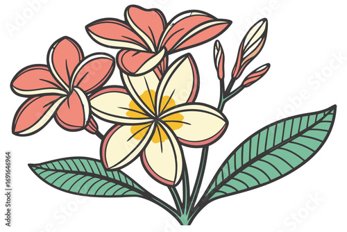 A closeup of pink and yellow plumeria flowers with green leaves