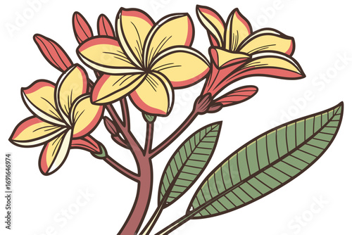 Yellow and pink plumeria flowers with green leaves
