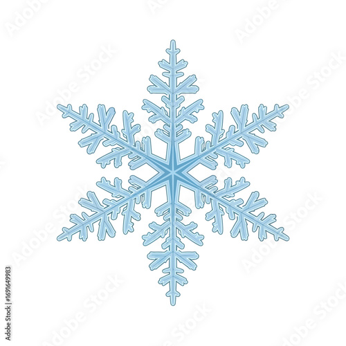 Detailed Light Blue Snowflake Illustration on White Background