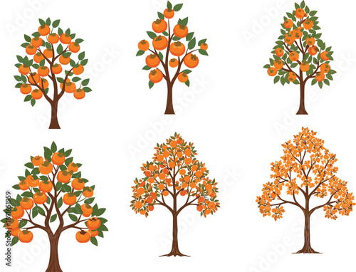Six Cartoon Persimmon Trees with Orange Fruits and Green Leaves, Vector Illustration for Farm, Garden, Autumn Harvest, Nature Concept