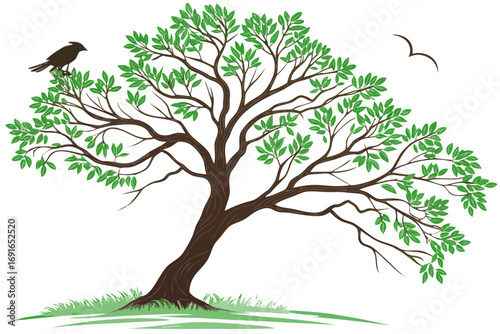Illustration of a tree with green leaves, a bird, and a bird in flight