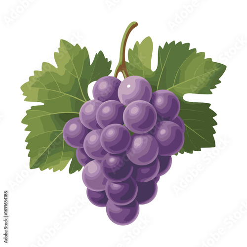 bunch of grapes isolated on white background