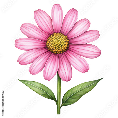Beautiful pink flower with delicate petals and vibrant green leaves on a transparent background, ideal for design projects, isolated on transparent background.