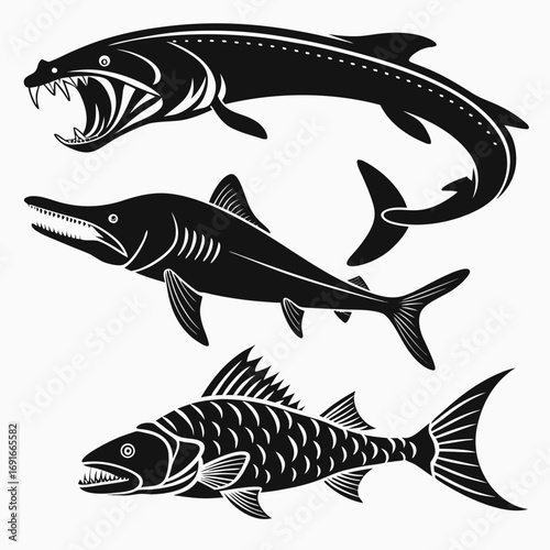 Predatory fish monochrome illustration