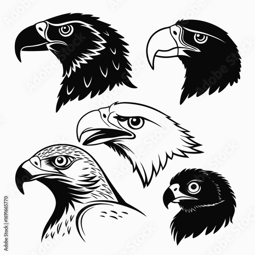 Collection of eagle head silhouettes, vector illustration