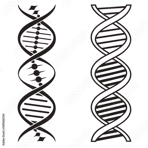 Two dna helix silhouette for science design