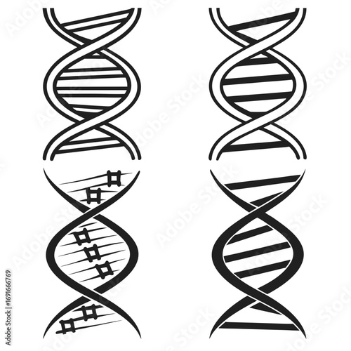 Two dna helix silhouette for science design