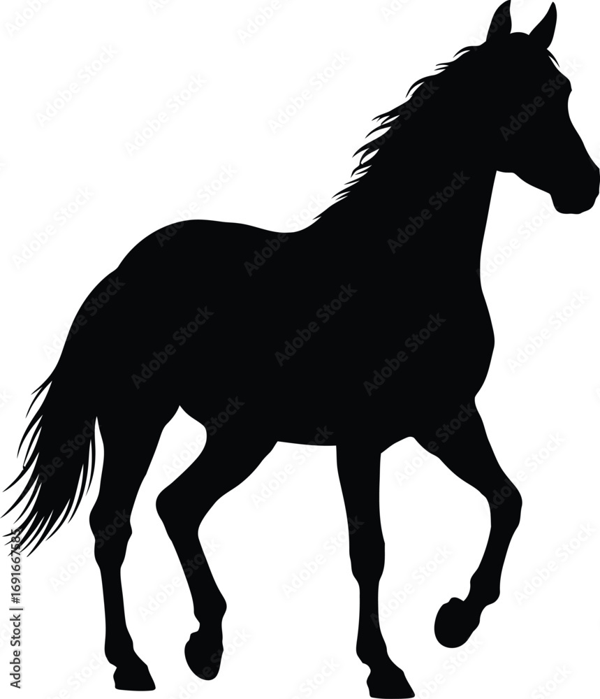 Fototapeta premium Dynamic silhouette of a horse in motion capturing graceful gallop and athleticism silhouette