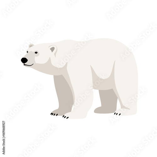 Stylized Polar Bear Illustration on White Background