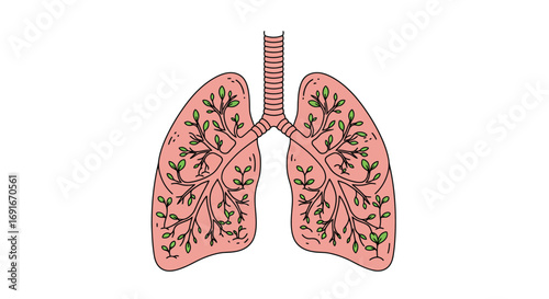 Anatomical illustration of human lungs with green leafy branches growing inside, symbolizing the respiratory system as the tree of life.