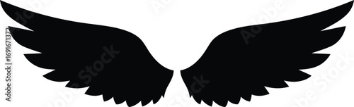 Symbolic silhouette of black angel wings spread wide isolated on silhouette
