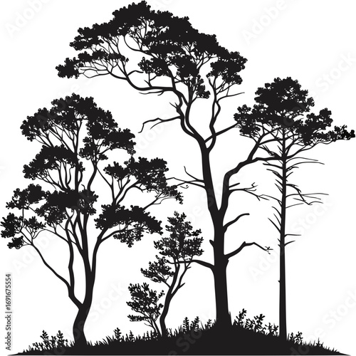 A silhouette of diverse trees and foliage against a white background showcasing a natural forest landscape with intricate branch details and a grassy foreground