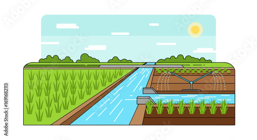 Cross-section view of a modern agricultural irrigation system with a water canal flowing through lush green rice paddy fields