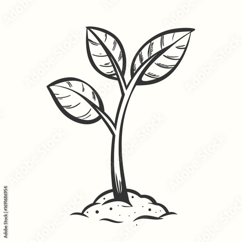 Sprout Plant Growing from Dirt in Pot on White Background Design