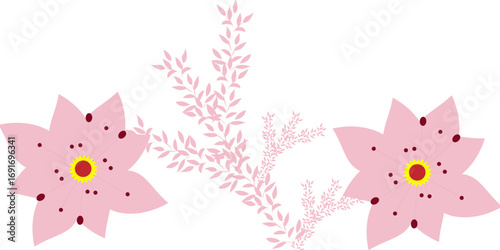 Creative set collection with Blooming of delicate pink flowers falling in the air, isolated on white background. Prunus cerasifera 'Nigra' or Canadian black plum