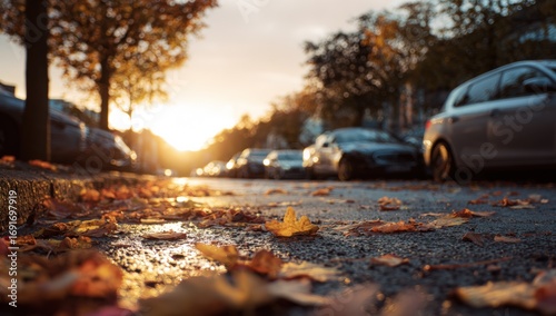 Autumnal street scene at sunset (4)