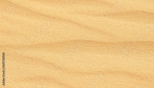 砂浜に残る風紋、海、砂漠