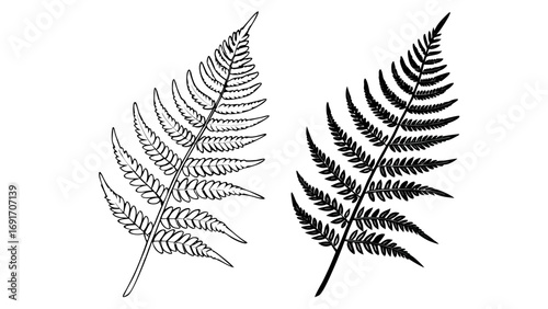 Delicate Fern Frond Outline plant thin