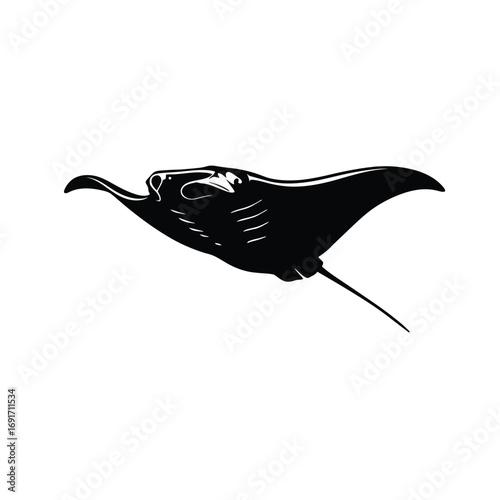 Minimalist manta ray silhouette with extended wings and long tail. EPS 10.