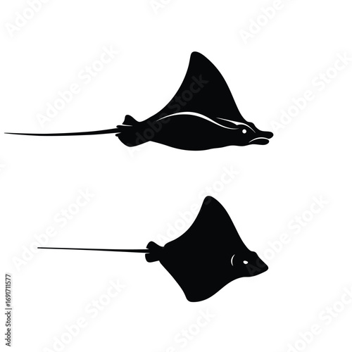 Minimalist manta ray silhouette with extended wings and long tail. EPS 10.