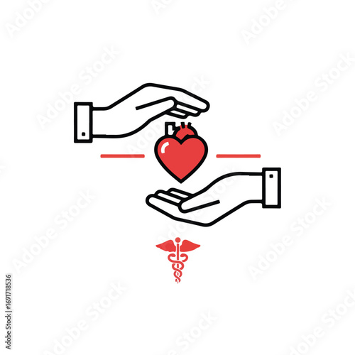vector illustration of organ transplantation