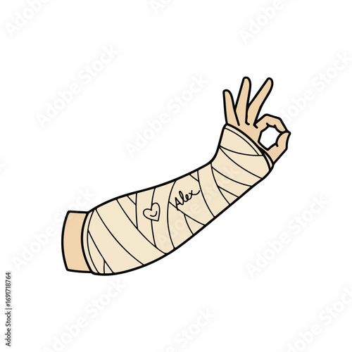 vector illustration of orthopedic bone