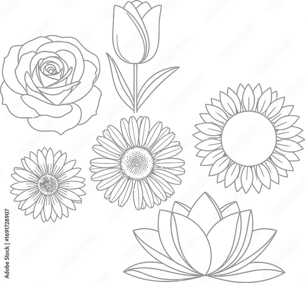 Fototapeta premium set of vector flowers