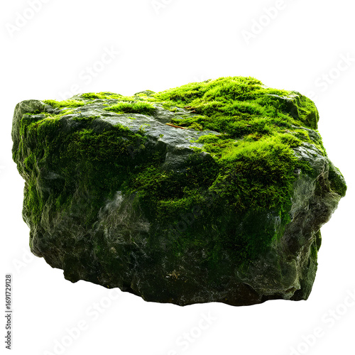 Moss-covered stone illuminated against black background, nature's texture detail
